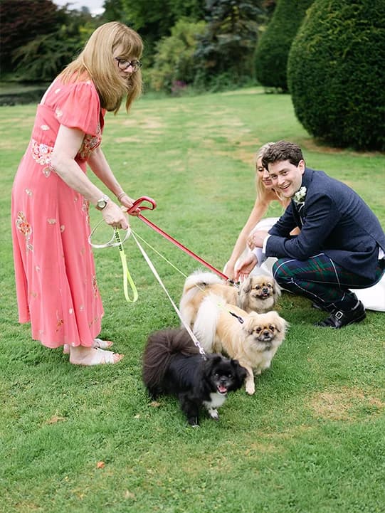 Bride and groom pet their dog guests at wedding