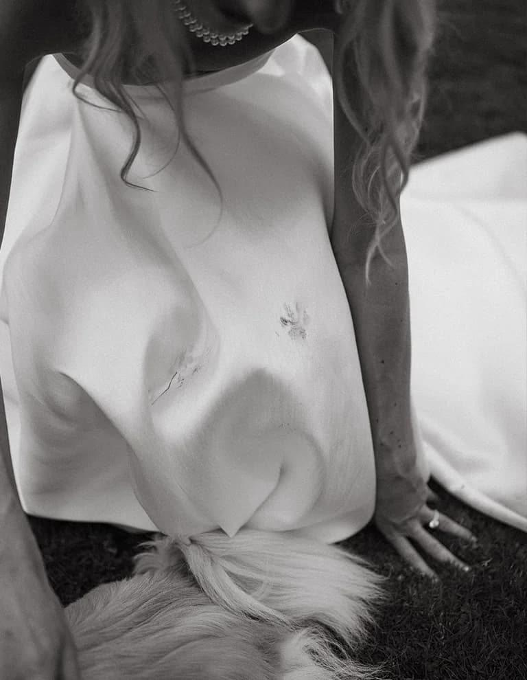 Dog's paw mark on the bride's wedding dress