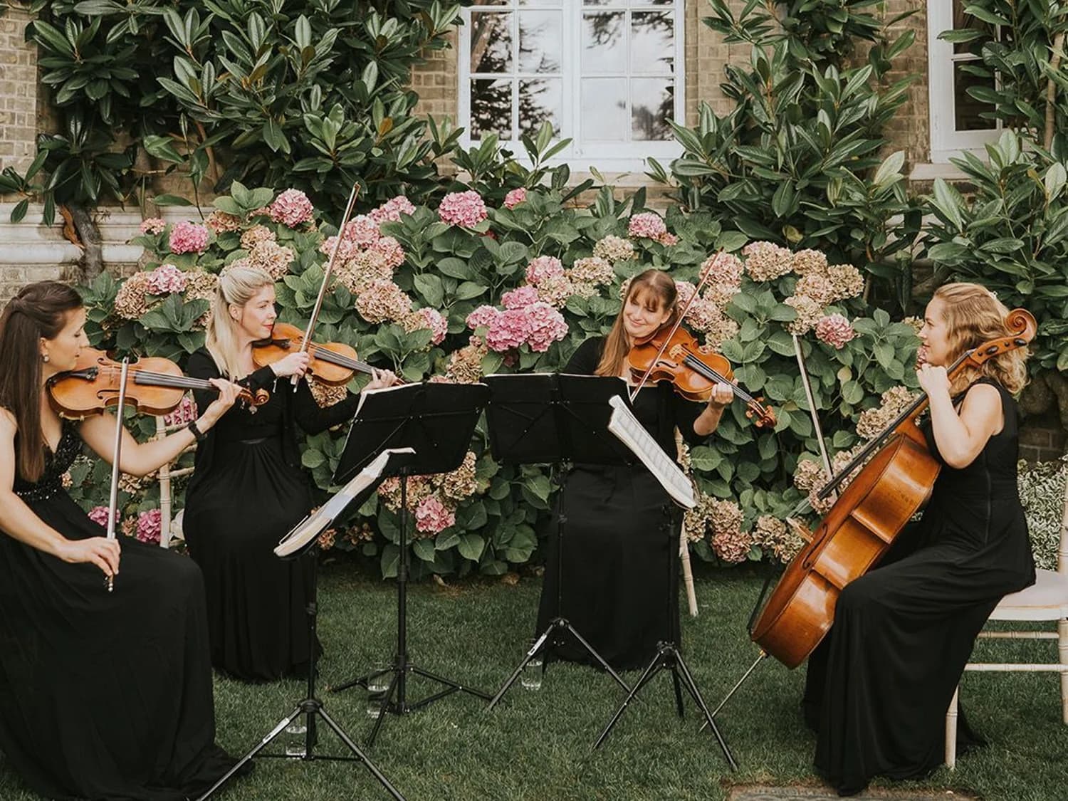 Wedding string quartet in the garden