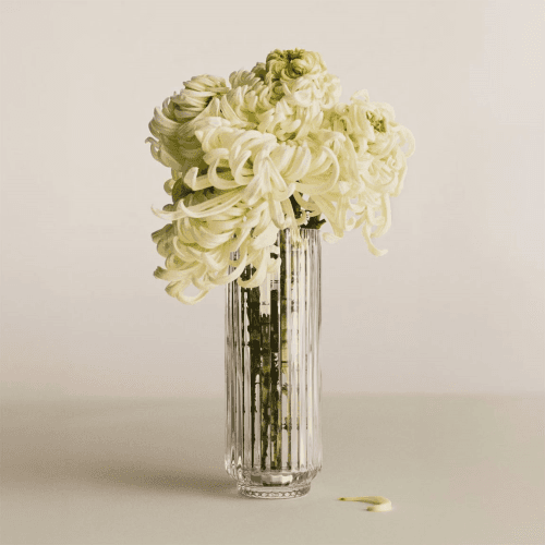 Image showing the Bernadotte Vase, H22.5cm product.