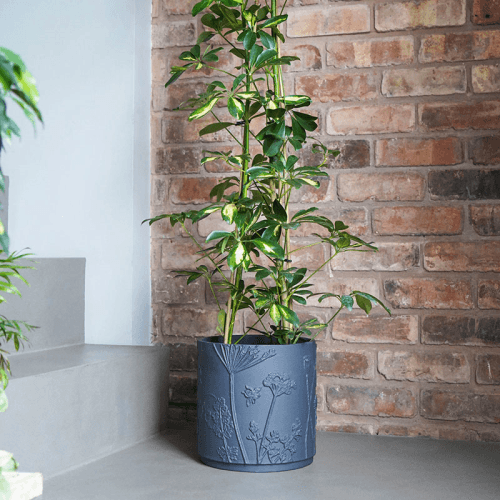 Image showing the Kew Eclectic Orangery Stoneware Meadow Planter product.