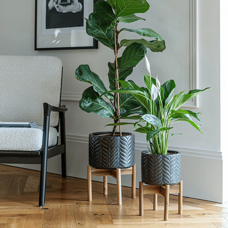 Aspen Planter
