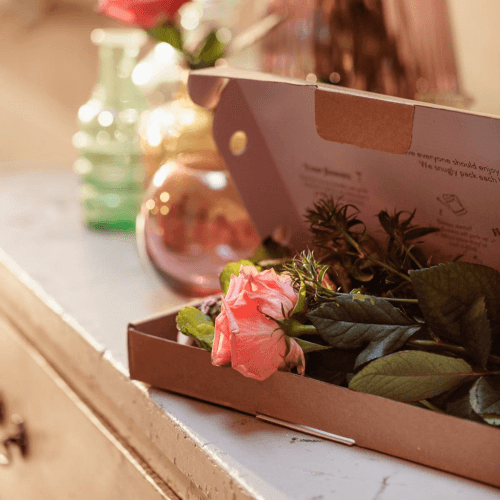 Image showing the Regular Letterbox flower subscription product.