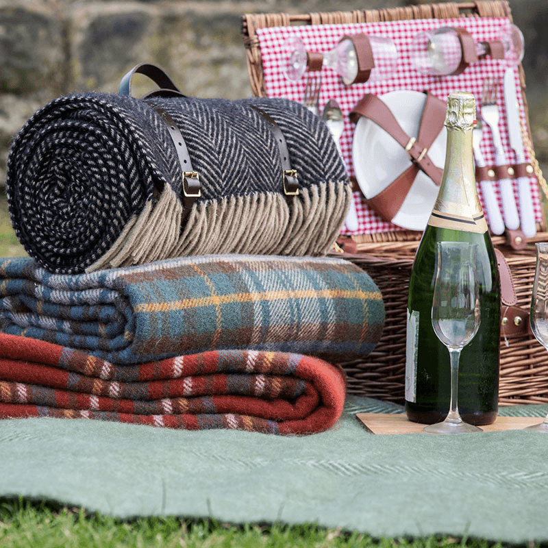 Polo Picnic Rug