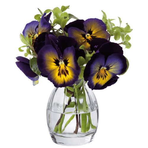 Image showing the Florabundance Pansy Vase, Clear product.