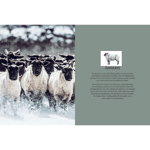 Image showing the Pipers Farm The Sustainable Meat Cookbook: Recipes & Wisdom for Considered Carnivores product.