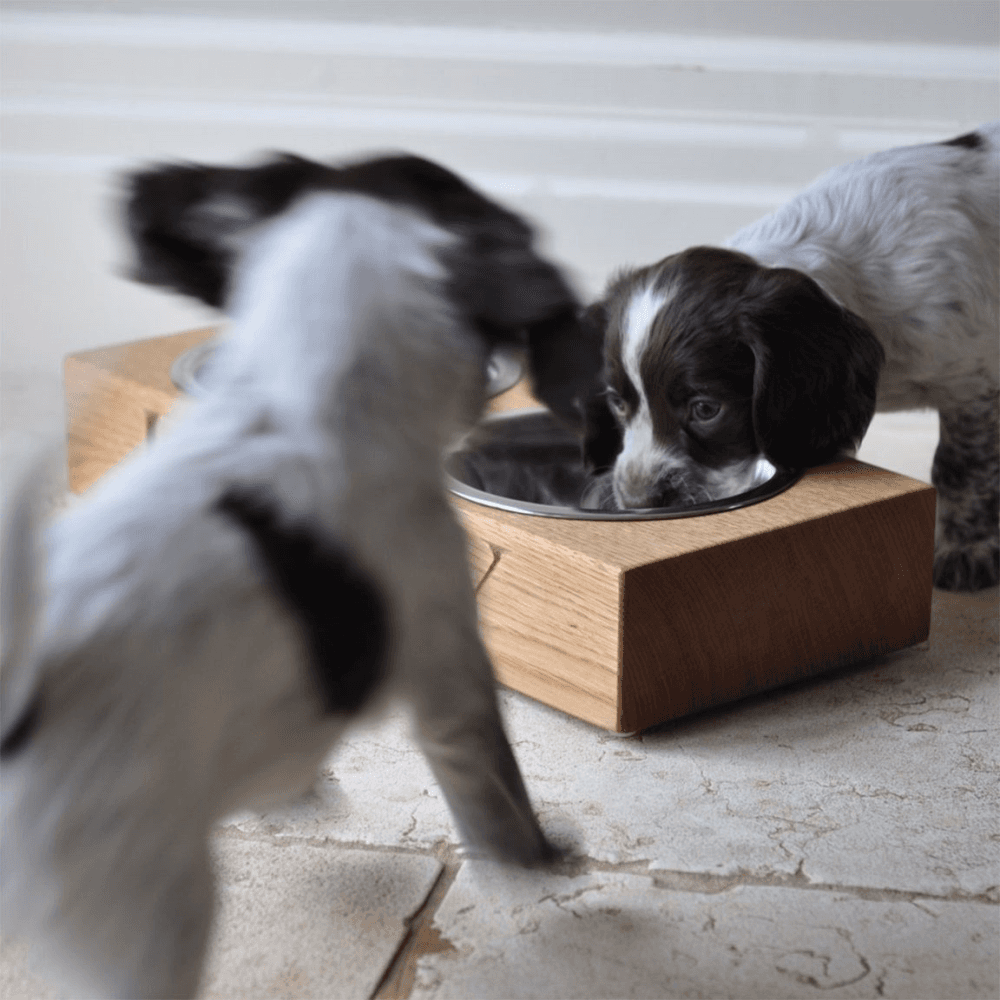 Personalised double dog bowl, Oak And Stainless Steel