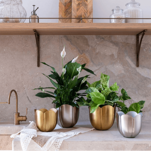Image showing the Eva Set of 2 Planters, Silver product.