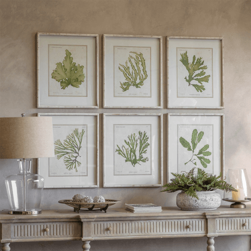 Image showing the Ormington Set of 6 Aloe and Algae Framed Prints, Shades of Green product.
