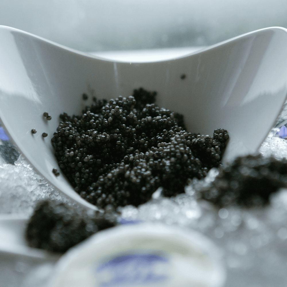 Private expert-led caviar tasting for two with Laura King at King's fine foods