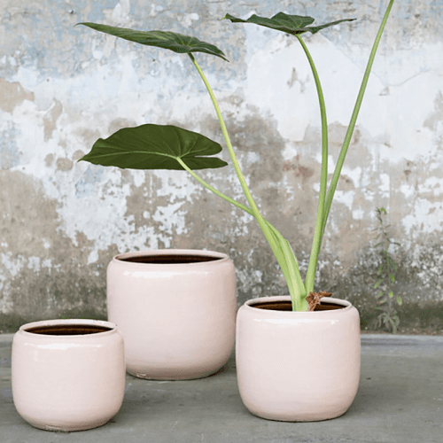 Image showing the Costa Glazed Ceramic Pot product.