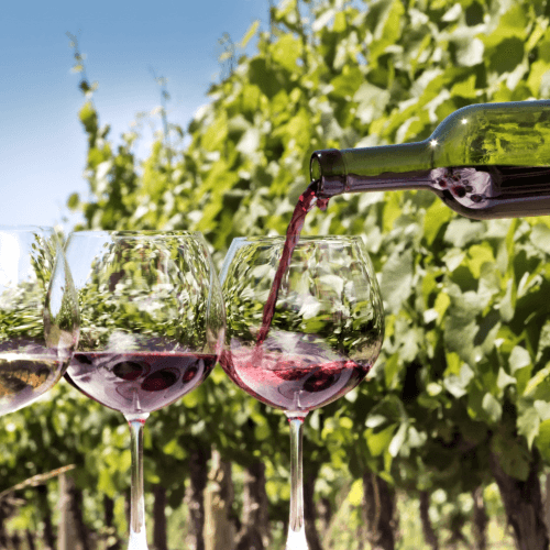 Image showing the Wine tasting tour for two product.