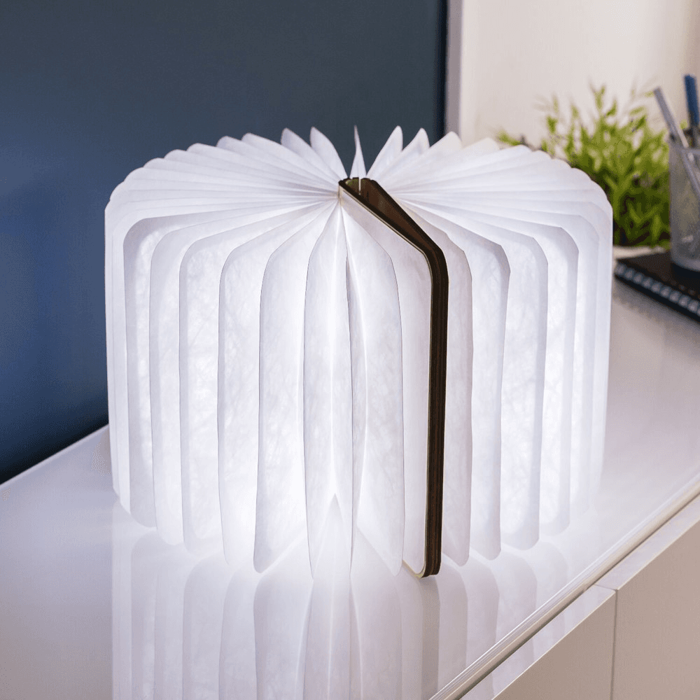 Smart Book Light