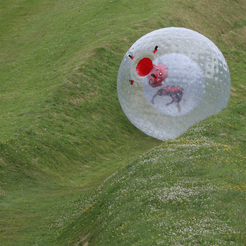 Image showing the Zorbing experience fund product.