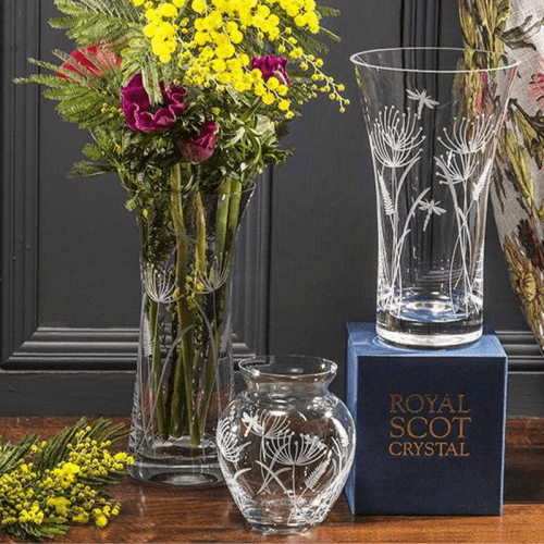 Image showing the Dragonfly Posy Vase, Clear product.