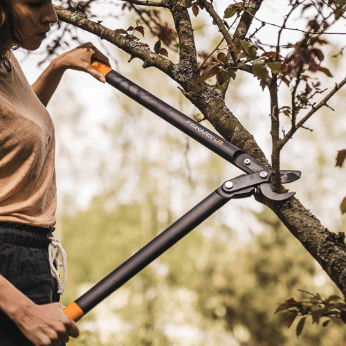 Image showing the PowerGear Hook Head Bypass Lopper, Black and Orange product.