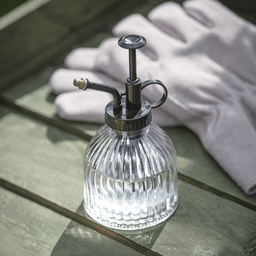 Image showing the Plant Mister, Clear product.
