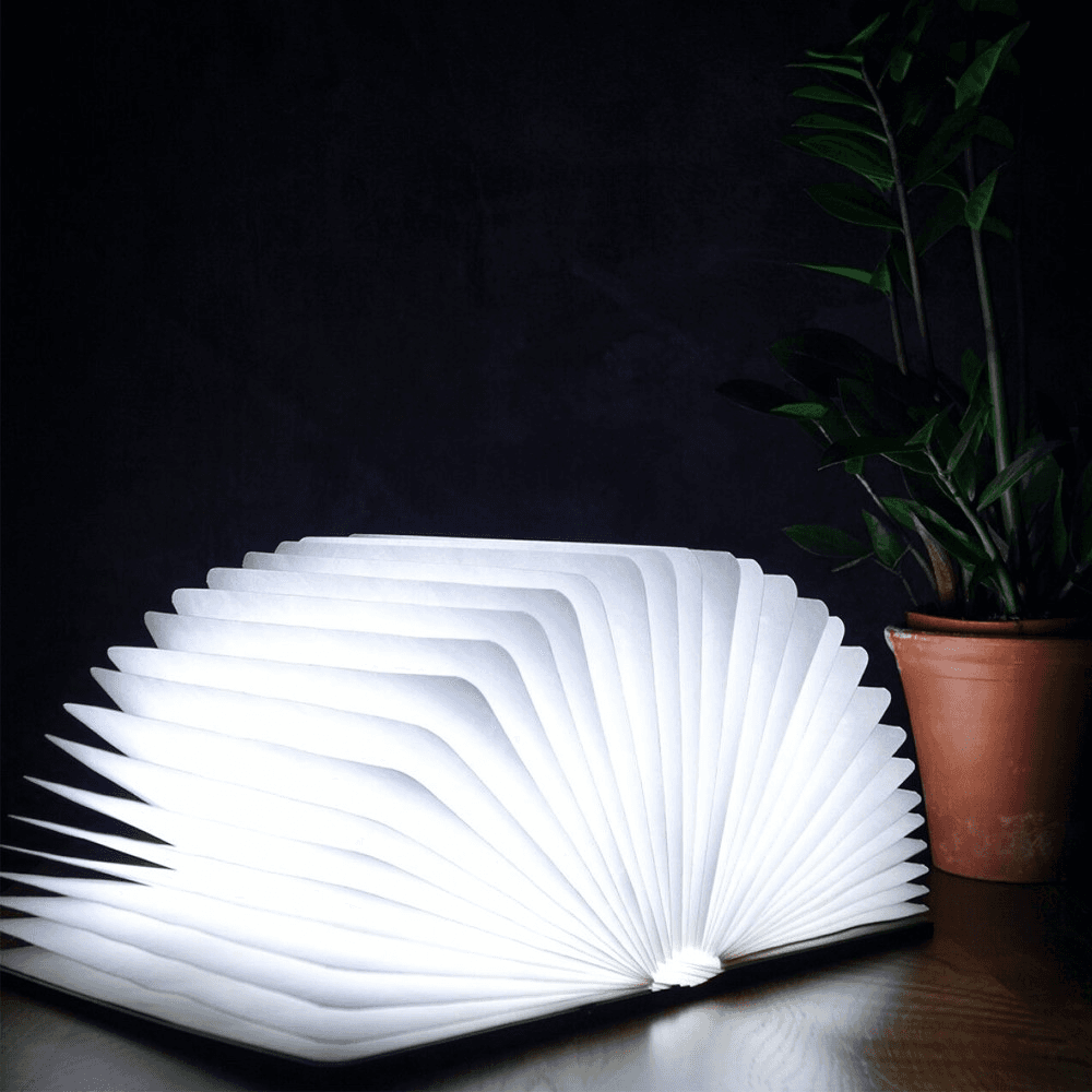 Smart Book Light