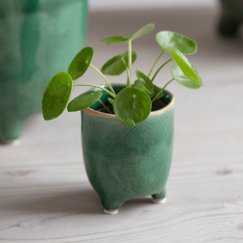 Image showing the Positano Pot product.
