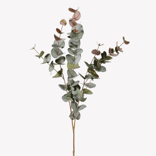 Image showing the Large Natural Eucalyptus, 100 cm, Blush product.