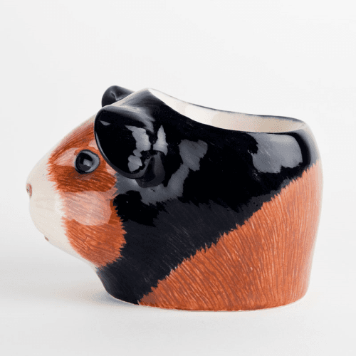 Image showing the Guinea Pig Egg Cup, Multi product.