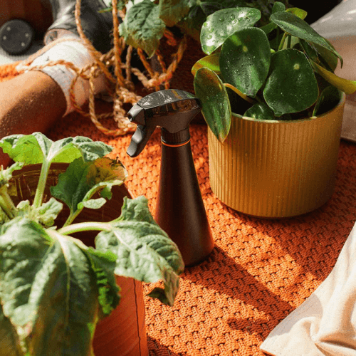 Image showing the Urban Gardening Mister, Black product.