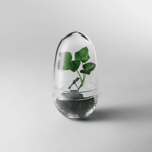 Image showing the Grow Greenhouse product.