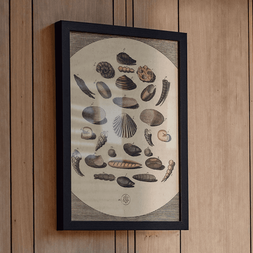 Image showing the Impressions Print Frame product.