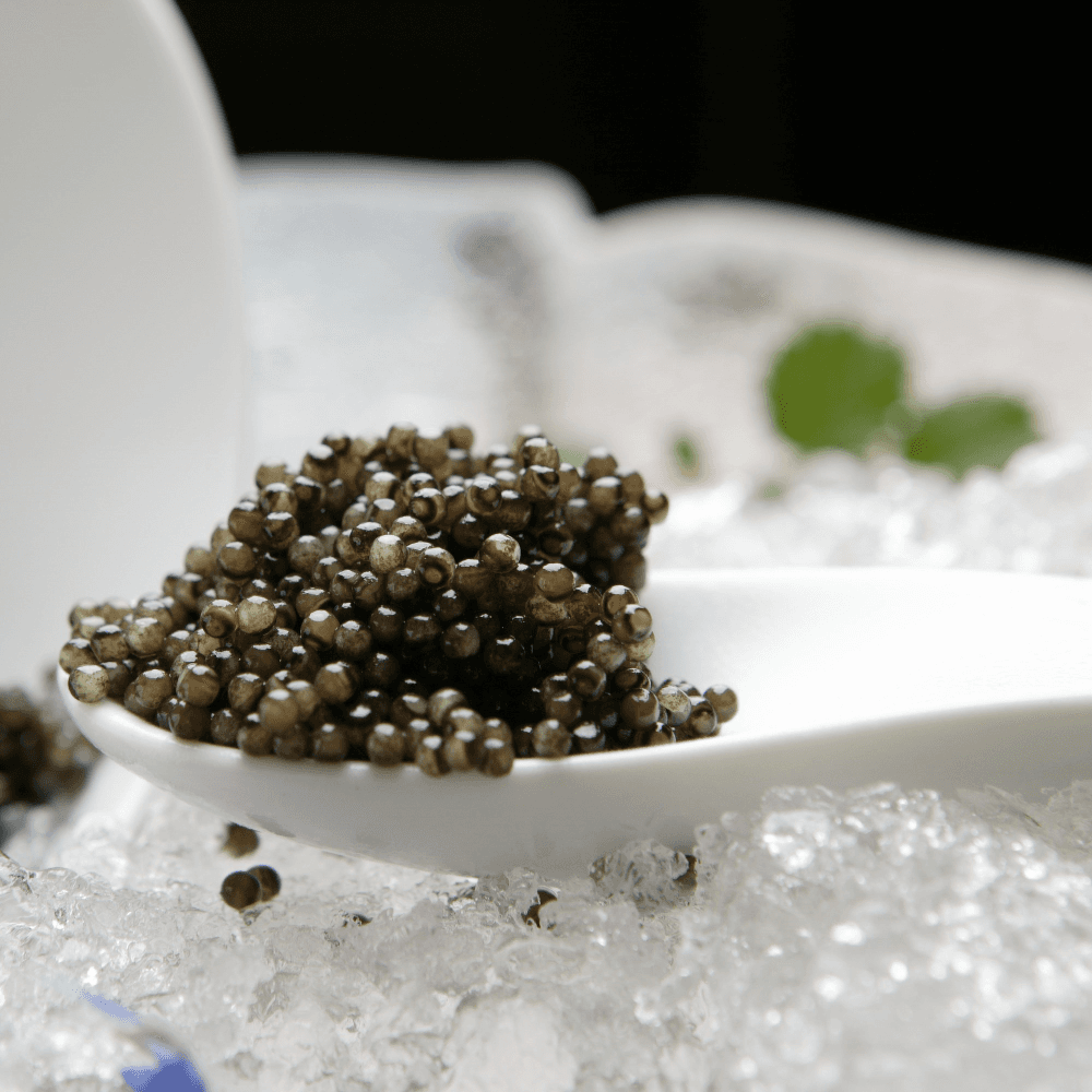 Private expert-led caviar tasting for two with Laura King at King's fine foods