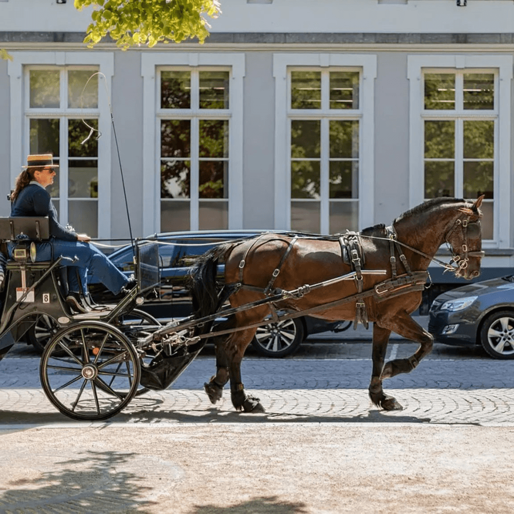 Picturesque escape in Bruges with fine dining and horse-drawn carriage